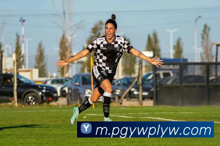 pg电子服务体系